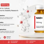 Biochemical Role of NAD+ in Cellular Metabolism