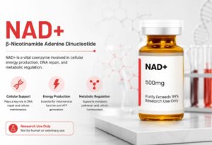 NAD+ Support Anti-Aging